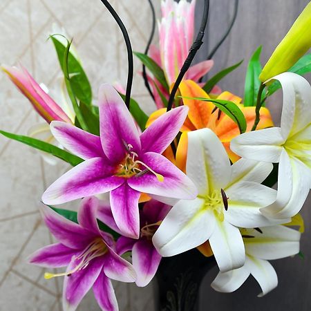 Karat Inn Boutique Hotel باكو المظهر الخارجي الصورة